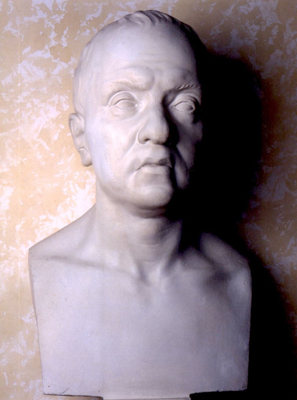 Busto di Felice Fontana. ©La Specola, Firenze. Tratta da Barsanti G., Chelazzi G., Il Museo di Storia Naturale dell'Università degli Studi di Firenze, vol. 1 Le collezioni della Specola: zoologia e cere anatomiche, Firenze University Press, 2009.